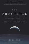 The Precipice