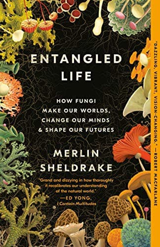 Entangled Life
